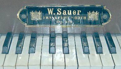 sygnatura Sauera
