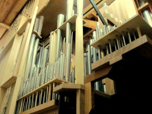 Wnętrze organów