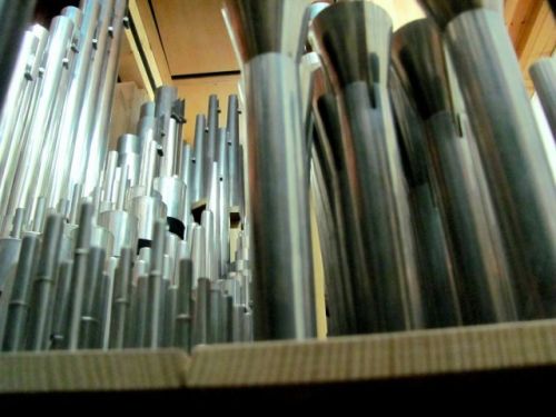 Wnętrze organów