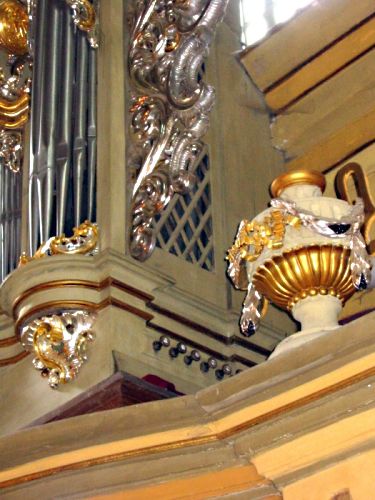 Snycerka - zbliżenie