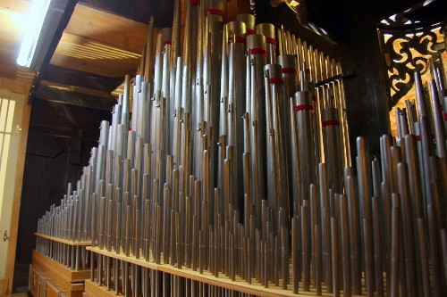 Wnętrze organów