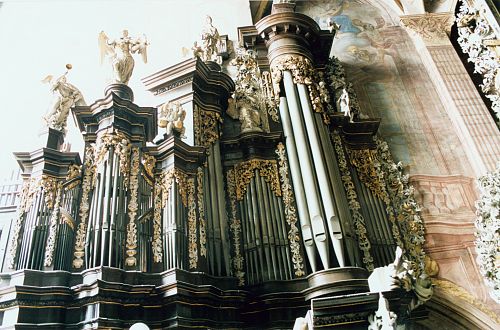Widok organów z empory